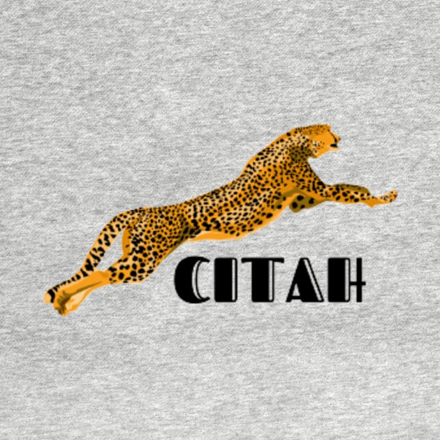 2023 new cheetah print T-shirt by S&K SHOPPING STORE